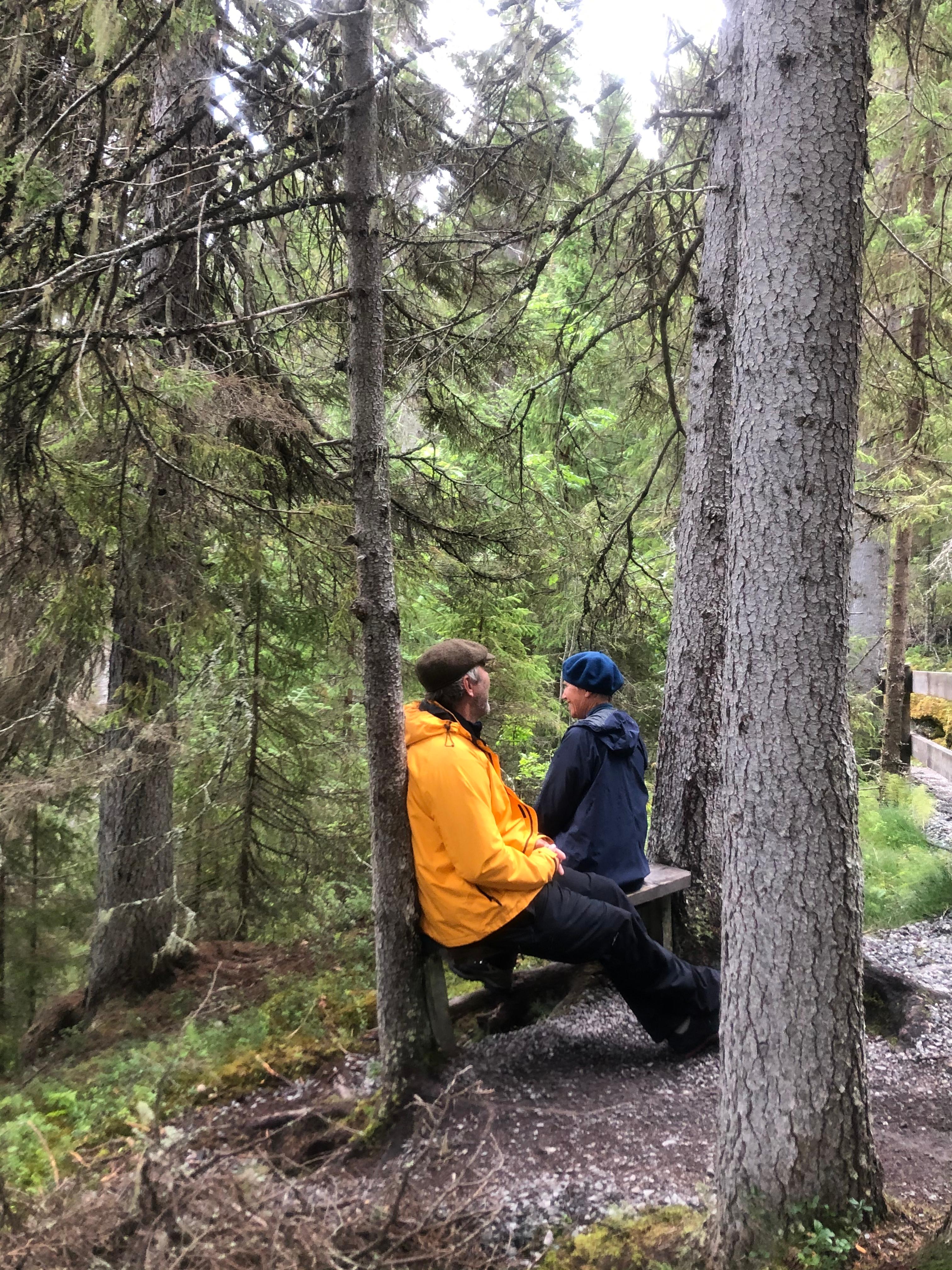 A photo of a man and woman sat on a bench, surrounded by trees